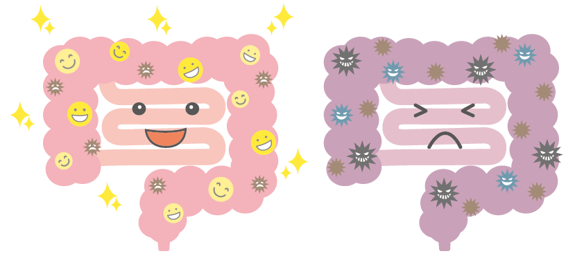 美腸マッサージ